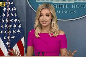 白宫发言人回应特朗普放缓检测言论（中英文字幕视频）