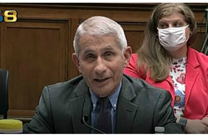 福奇称从未有人被要求过要放慢检测速度（中英文字幕视频）